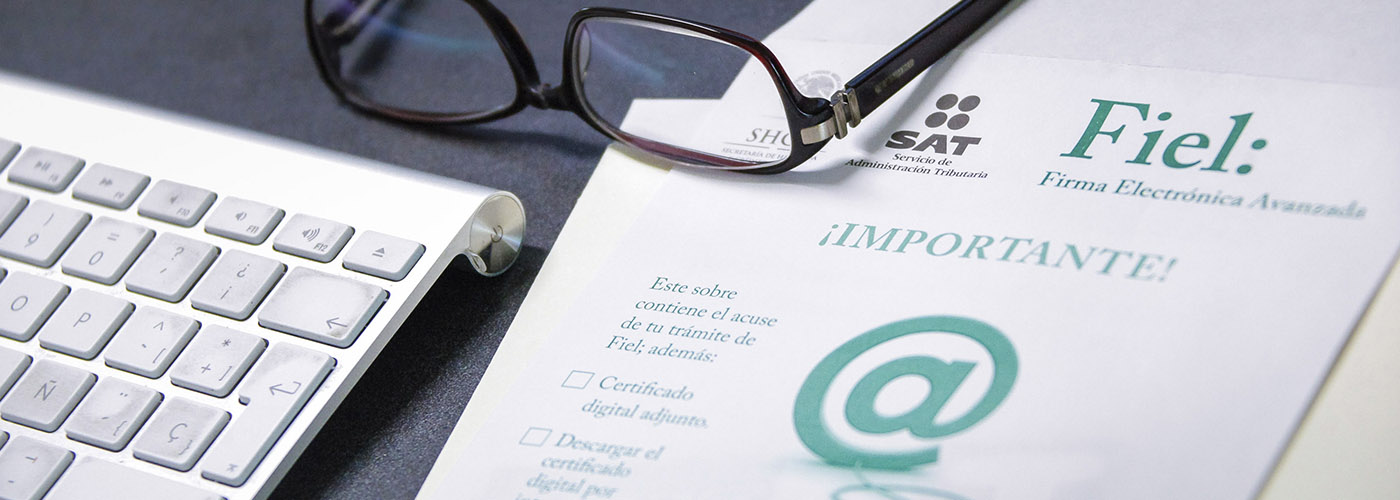 Servicios Fiscales